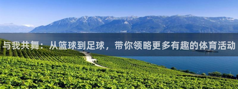 77体育app下载官网