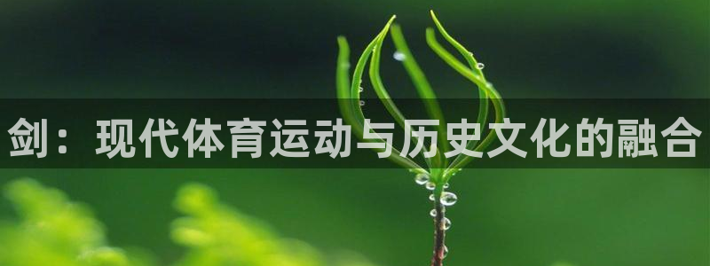 77体育官网
